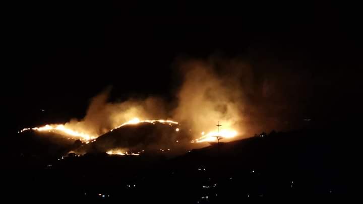 Incendio devasta Riserva dello Zingaro, Rizzo: “Un inferno di violenza ad opera di criminali”