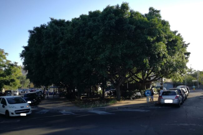 Degrado nella piazza di via Leucatia a Catania, Cardello (II municipio): “Problemi di pulizia, sicurezza e decoro”