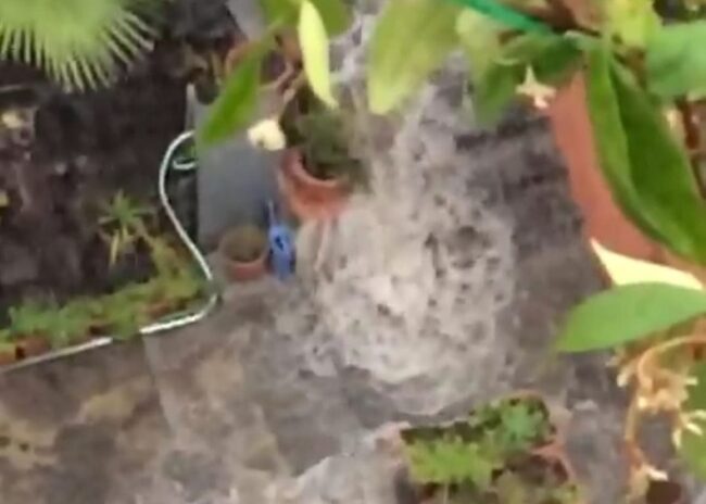 Da Ognina a Canalicchio, pericolo bombe d’acqua. Cardello (II municipio): “Molte strade rischiano di trasformarsi ancora in fiumi”