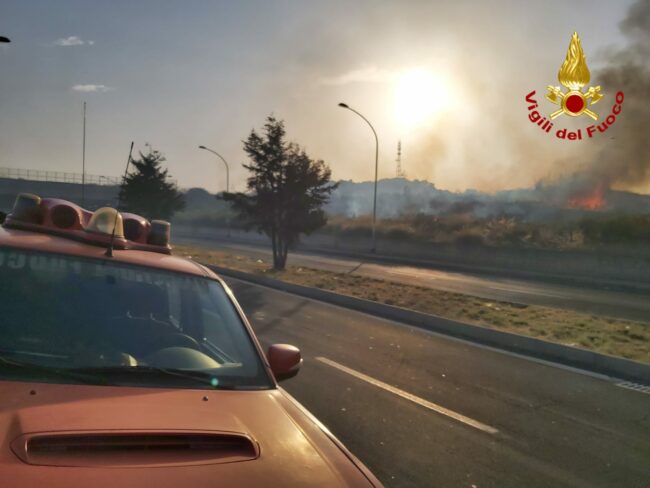 Paura a San Giorgio, vasto incendio vicino al Borgo delle Magnolie: fiamme alimentate dal vento – FOTO