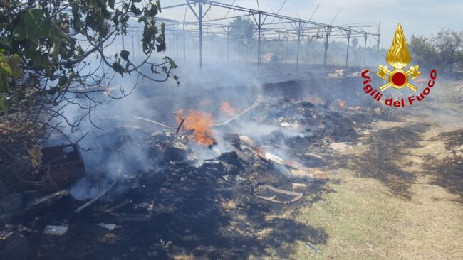 Incendio a Scordia, in fiamme alberi e vegetazione: spento focolaio vicino a bombolone GPL – FOTO e VIDEO