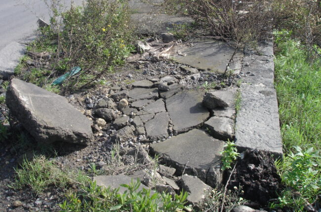 Zona industriale di Catania tra incuria e abbandono, comitato Romolo Murri: “Studiare piano di interventi straordinari”