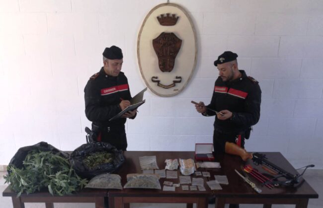 Droga, denaro, armi e due serpenti vivi: perquisizione porta all’arresto di un 46enne cubano