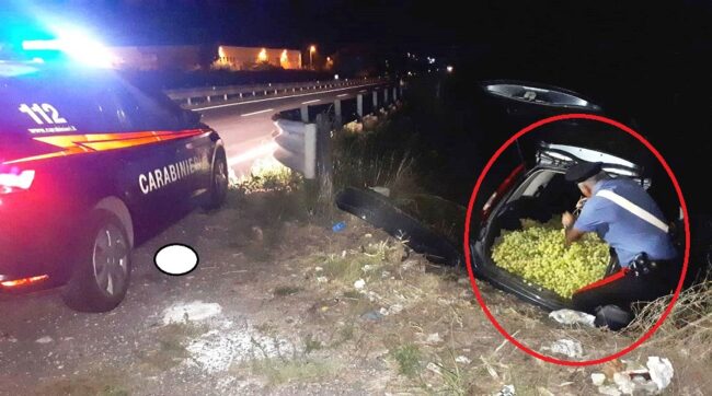 Inseguiti dai carabinieri, lasciano in strada l’auto con 8 tonnellate di uva rubata: rocambolesca fuga nel Catanese