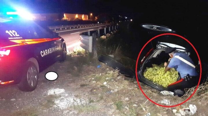 Inseguiti dai carabinieri, lasciano in strada l’auto con 8 tonnellate di uva rubata: rocambolesca fuga nel Catanese