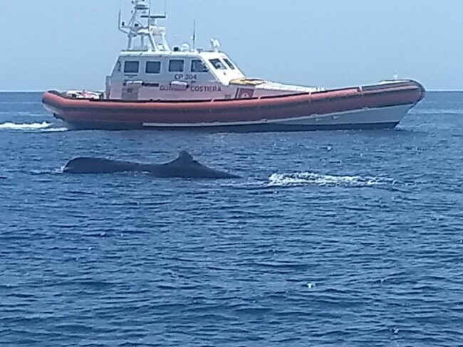 Operazione “Mare Sicuro 2020” conclusa: aumento dei controlli, in calo le violazioni – FOTO