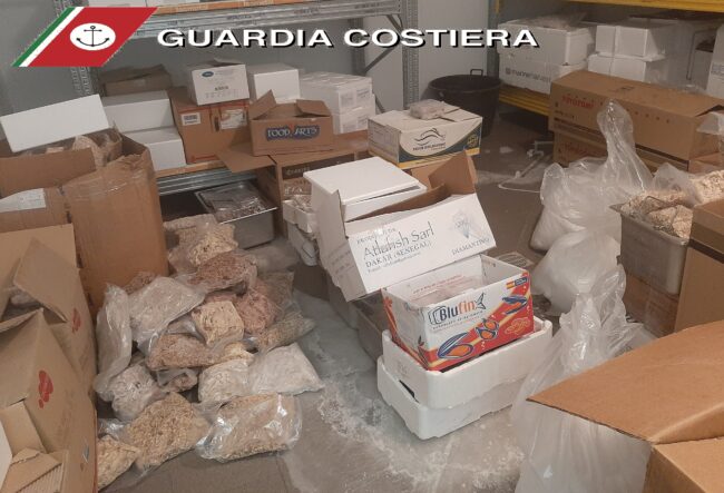 Operazione “Gold Fishing”, Sicilia orientale “setacciata” dalla Guardia Costiera: sequestri e sanzioni