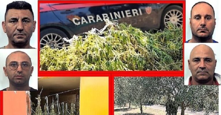 Catanesi alle prese con lo spaccio di marijuana, arrestati in 4: scoperti parte di associazioni mafiose