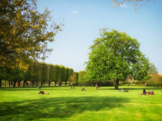 Venti troppo forti, a rischio l’incolumità dei cittadini: disposta la chiusura di giardini e ville comunali