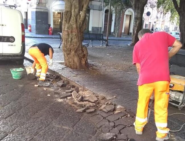 Dagli alberi tagliati alla sistemazione di nuove panchine: restyling a Catania per piazza Dante