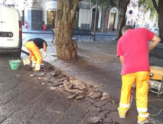 Dagli alberi tagliati alla sistemazione di nuove panchine: restyling a Catania per piazza Dante