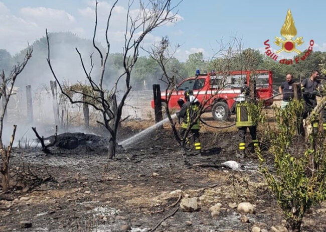 Sangue in cielo, scontro tra paracadutista e aereo: morti il pilota del mezzo e il militare