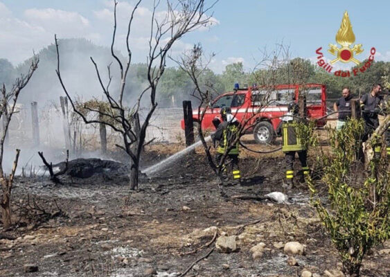 Sangue in cielo, scontro tra paracadutista e aereo: morti il pilota del mezzo e il militare
