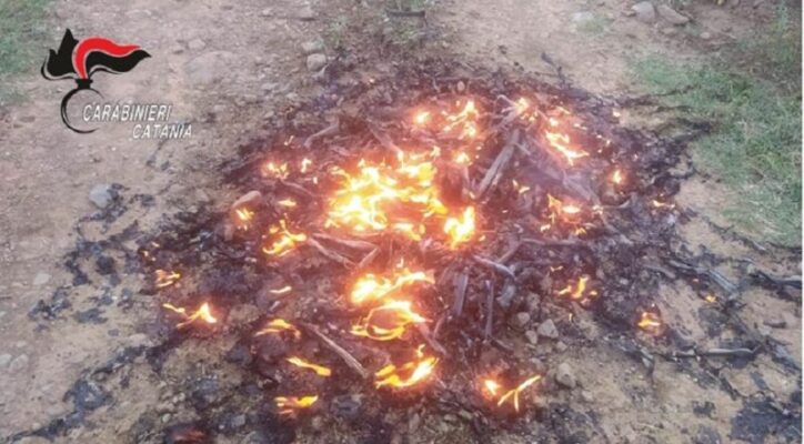 Distrugge con il fuoco tubi in PVC, denunciata una 28enne del Catanese