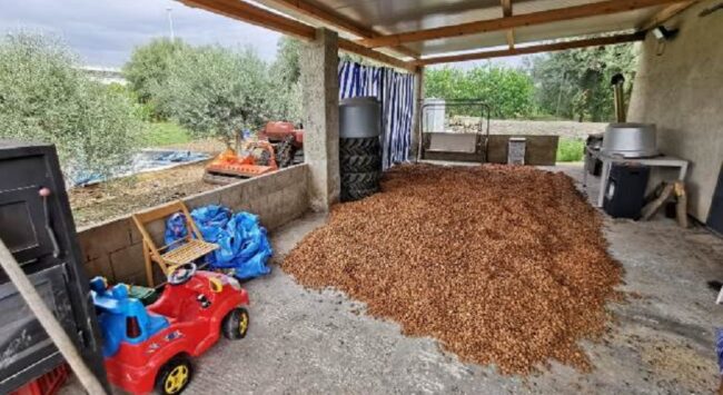 Ladri rubano 10mila euro di mandorle e provano a nasconderle: beccati dalla polizia, merce restituita