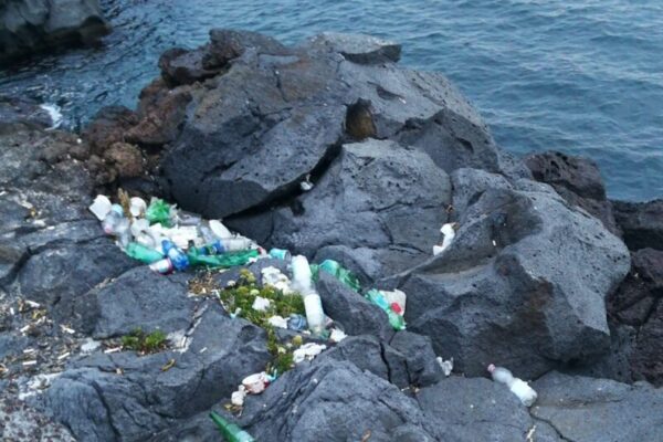 Lungomare di Catania deturpato. Cardello (II Municipio): “La fine dell’estate lascia solo degrado”