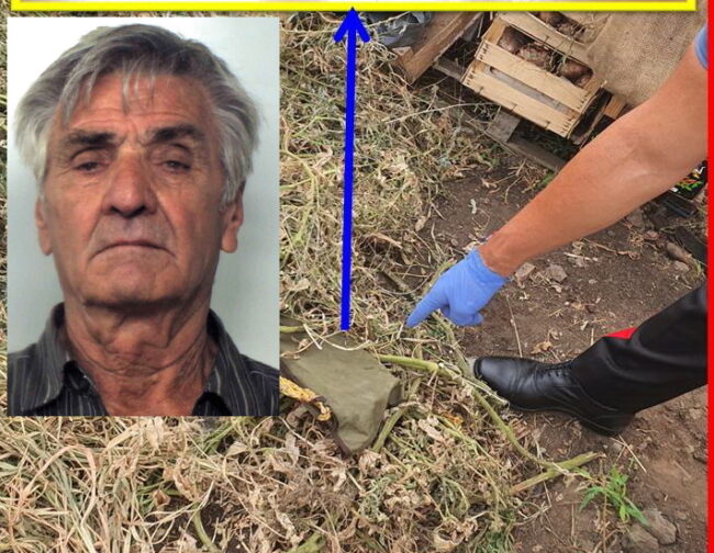 Fruttivendolo con la passione per le armi, irruzione in un appartamento di Aci Catena: arrestato 76enne