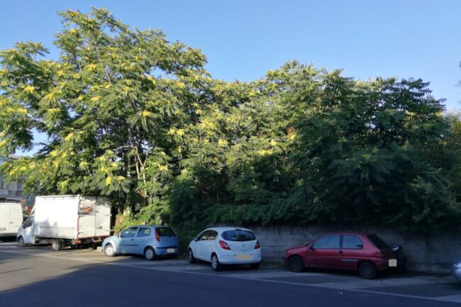 Catania, progetto isola ecologica tra via Leucatia e via Manzella. La proposta dei consiglieri Cardello e Giuffrida
