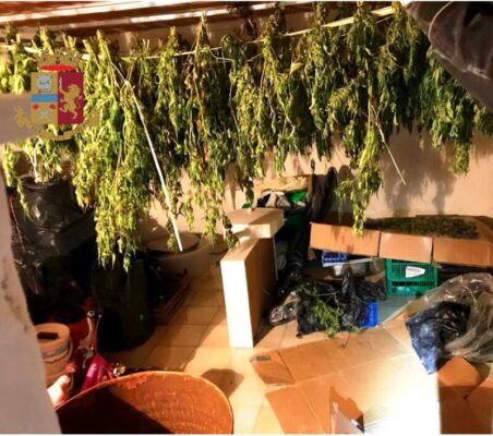 Otto chili di marijuana in grossi mazzi pronti ad essiccare: arrestata una 31enne
