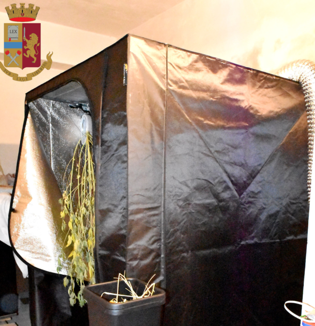 Con serra e “grow box” coltivava ed essiccava marijuana: scattano le manette per 28enne