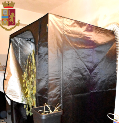 Con serra e “grow box” coltivava ed essiccava marijuana: scattano le manette per 28enne
