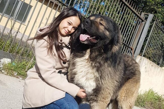 Ennesima tragedia al Policlinico, 21enne cade da cavallo e muore: la vittima è Angelica Pitò