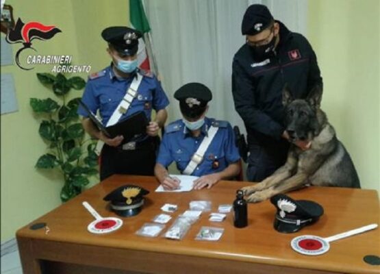 Operazione dei carabinieri: arrestato spacciatore, multe per oltre 5mila euro