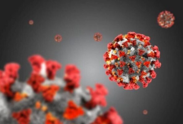 Ricerca Covid, scoperto nuovo super anticorpo. Riduce efficacia varianti: “Può salvare vite”