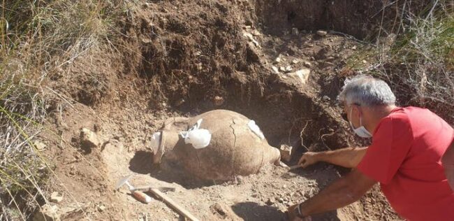 Sicilia, anfora tombale ritrovata vicina al sito archeologica di Himera