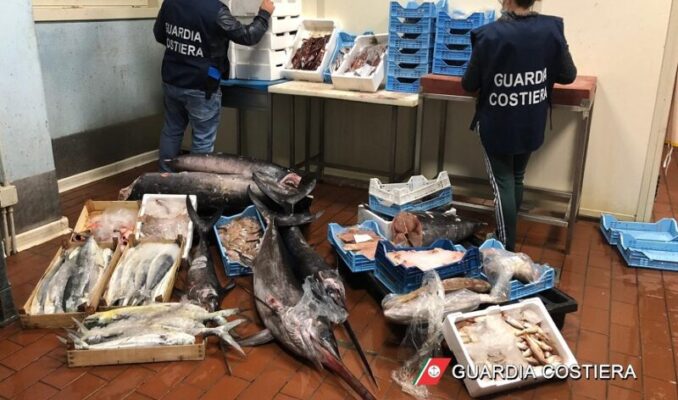 Catania e il pesce “illegale”, quasi 15 tonnellate di prodotti non commestibili ritirati: multa di 8mila euro per un trasgressore