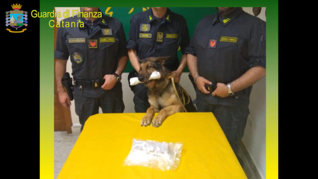 Catania, scoperto appartamento come deposito di narcotici: trovata cocaina, 21enne denunciato