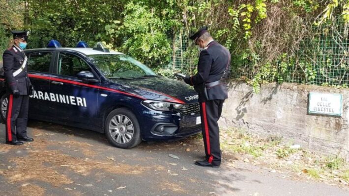 Tanta voglia di castagne, due giovani ne portano via 80 chili da una proprietà: fermati dai carabinieri
