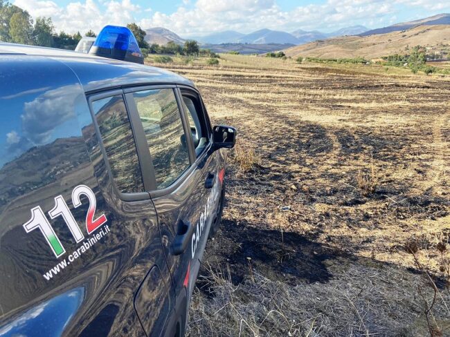 Bruciano sterpaglie, in manette padre e figlio. Denunciato un 44enne per il medesimo reato
