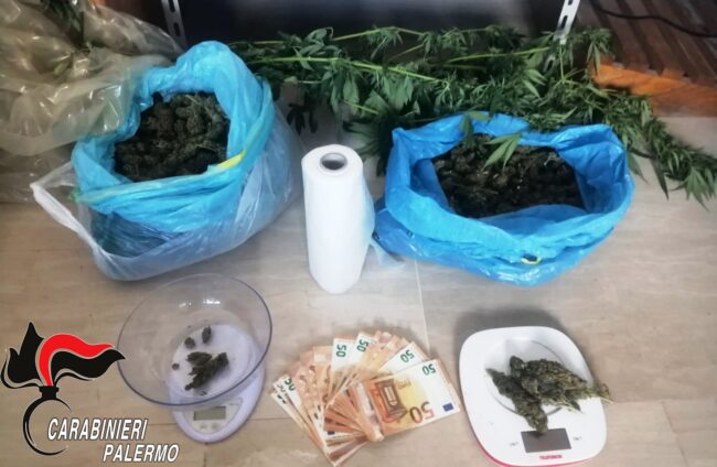 Perquisizione domiciliare, 37enne con oltre 1,5 chili di marijuana essiccata e 13 piantine