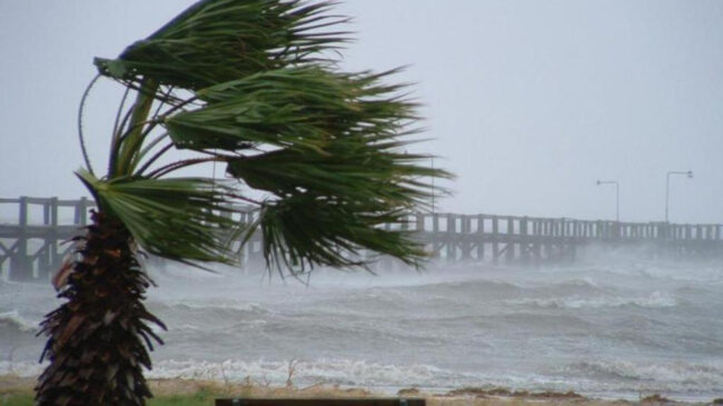 Ondata di maltempo in Sicilia: forte vento abbatte alberi, pali e muri di cinta nel Palermitano