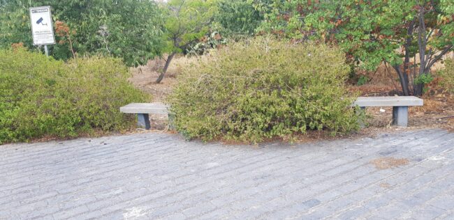 Sistema di videosorveglianza e continua cura del verde: le richieste del consigliere Zingale per Parco degli Ulivi