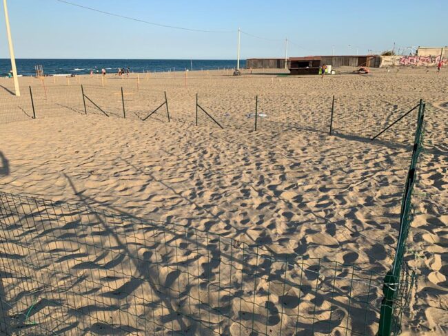 Catania, numeri confortanti per le spiagge libere etnee al termine della stagione estiva: “Fieri dei risultati” –  FOTO