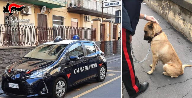 Catania, abbandona il cane per due ore in macchina sotto il sole: denunciato un 24enne
