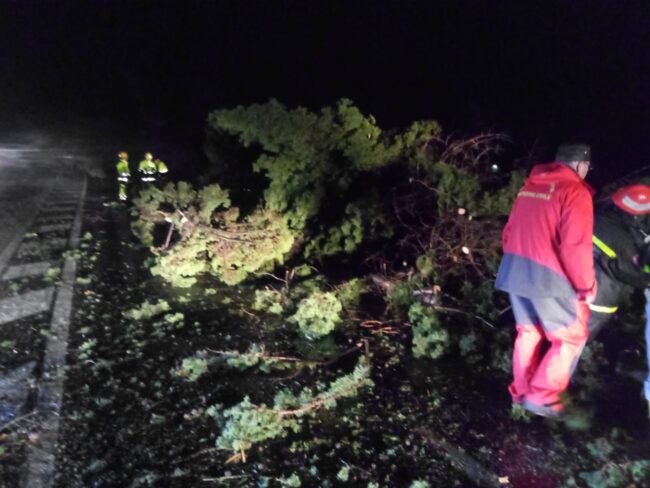 Tromba d’aria a Catania, nuove immagini della terrificante notte: ingenti danni al viale Kennedy – FOTO e VIDEO