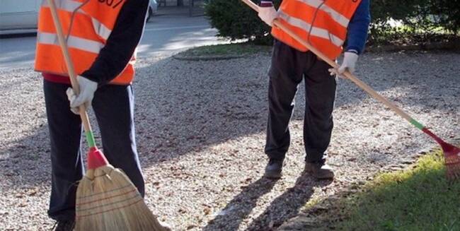 Reddito di cittadinanza, 49 progetti del Comune di Catania per lavori socialmente utili: impegnati oltre 1.500 percettori