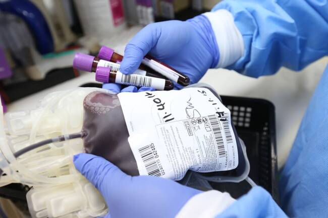 Caltanissetta, disposto risarcimento danni per 800mila euro per una trasfusione di sangue infetto