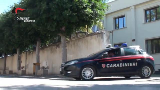 Gregge abusivo in terreni confiscati alla mafia: blitz dei carabinieri, denunciati padre e figlio