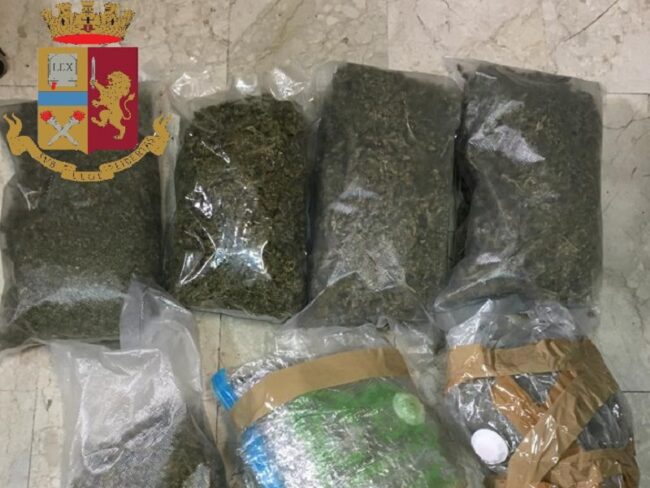 Messina, sequestro di oltre tre chili di canapa indiana nascosta tra le piante