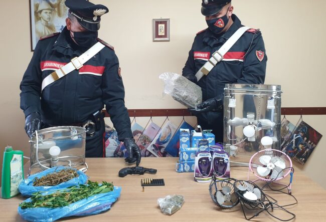 Volto noto arrestato in flagranza per spaccio: 300 grammi di marijuana pronta per essere venduta