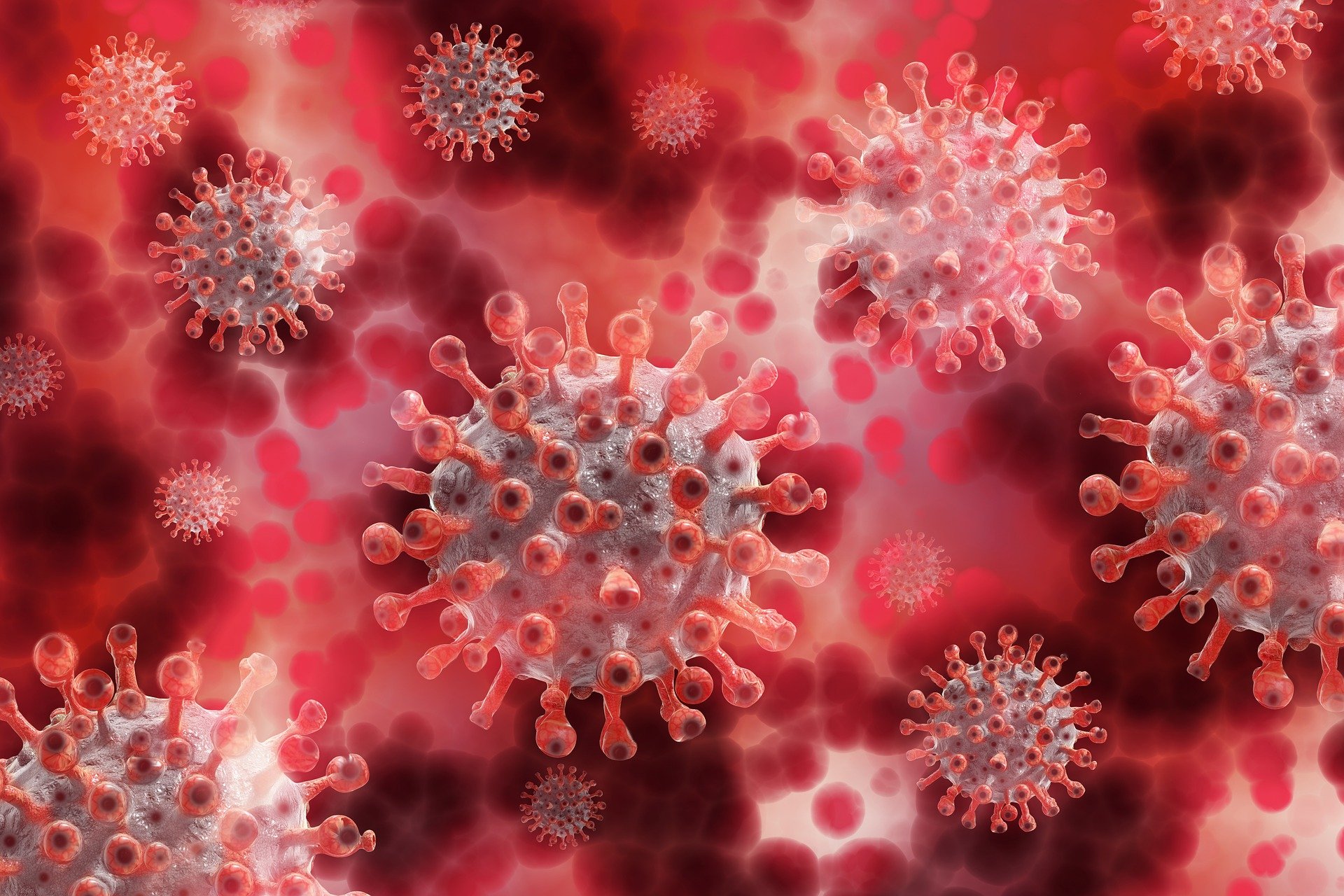 Covid bis, domande e risposte sulla nuova variante del Coronavirus dal Regno Unito: FAQ dell’Iss