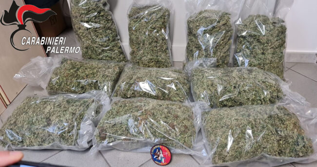 Palermo, spaccio di stupefacenti: 47enne con oltre 10 chili di marijuana, arrestato