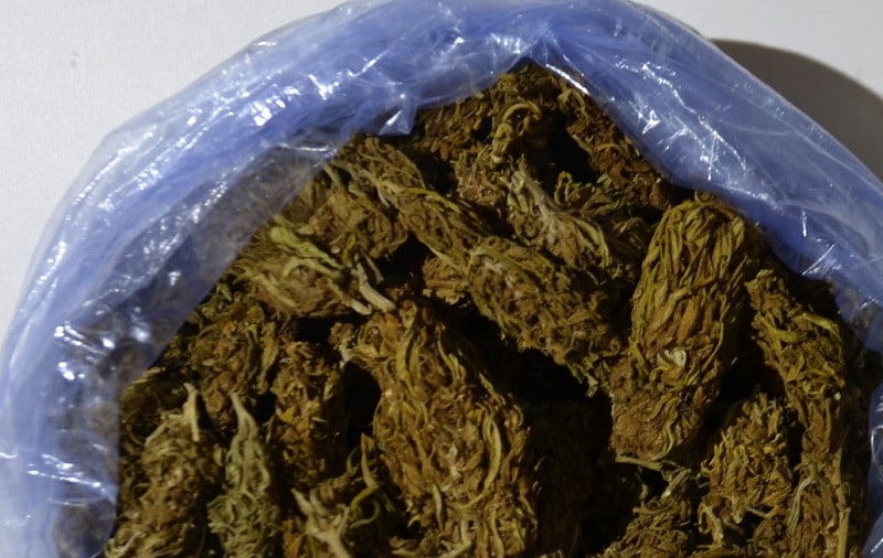 Casa della marijuana, droga nascosta nell’immobile: denunciato pluripregiudicato
