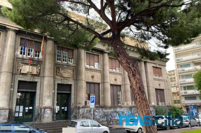 Catania, pino pericolante in piazza Roma: situazione in procinto di essere risolta grazie all’intervento di tutti gli attori coinvolti