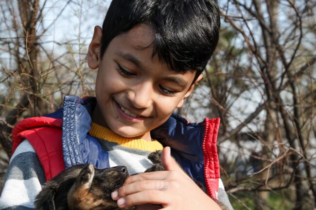 Randagi e volontari, una missione e l’amore per cani e gatti abbandonati