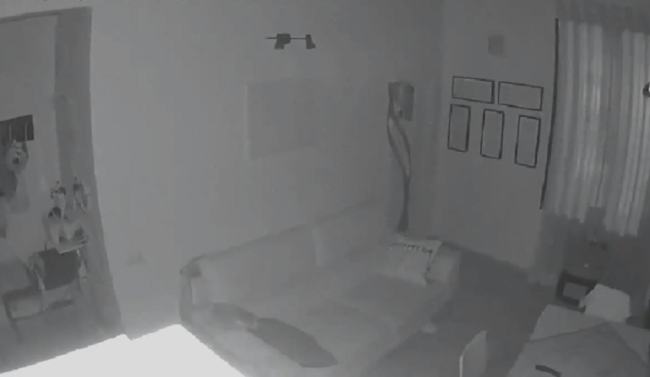 Terremoto in Sicilia, nuovi VIDEO di quei secondi interminabili: dal negozio alla casa